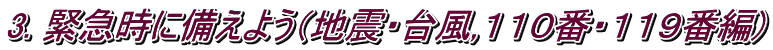 3. 緊急時に備えよう（地震・台風,１１０番・１１９番編)