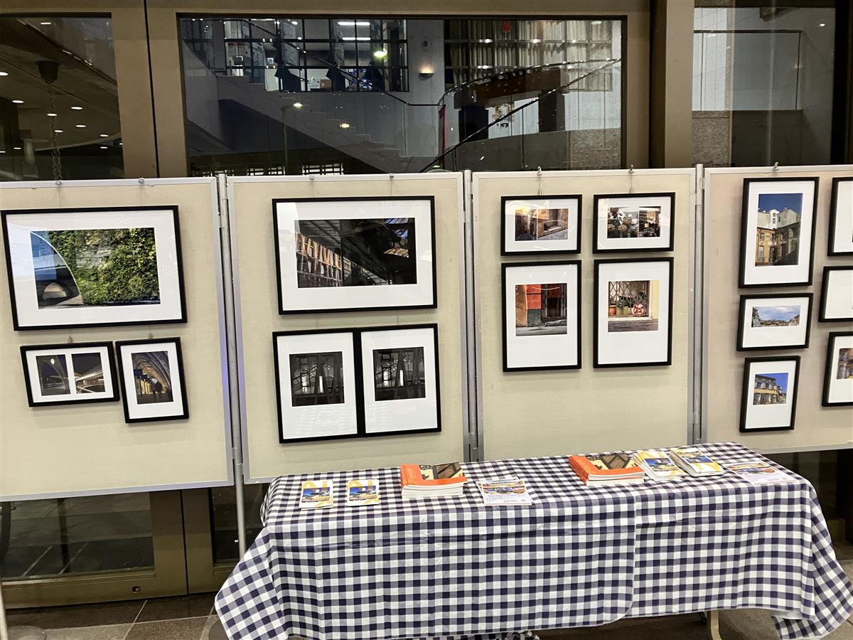 展示の様子