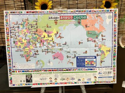展示の様子